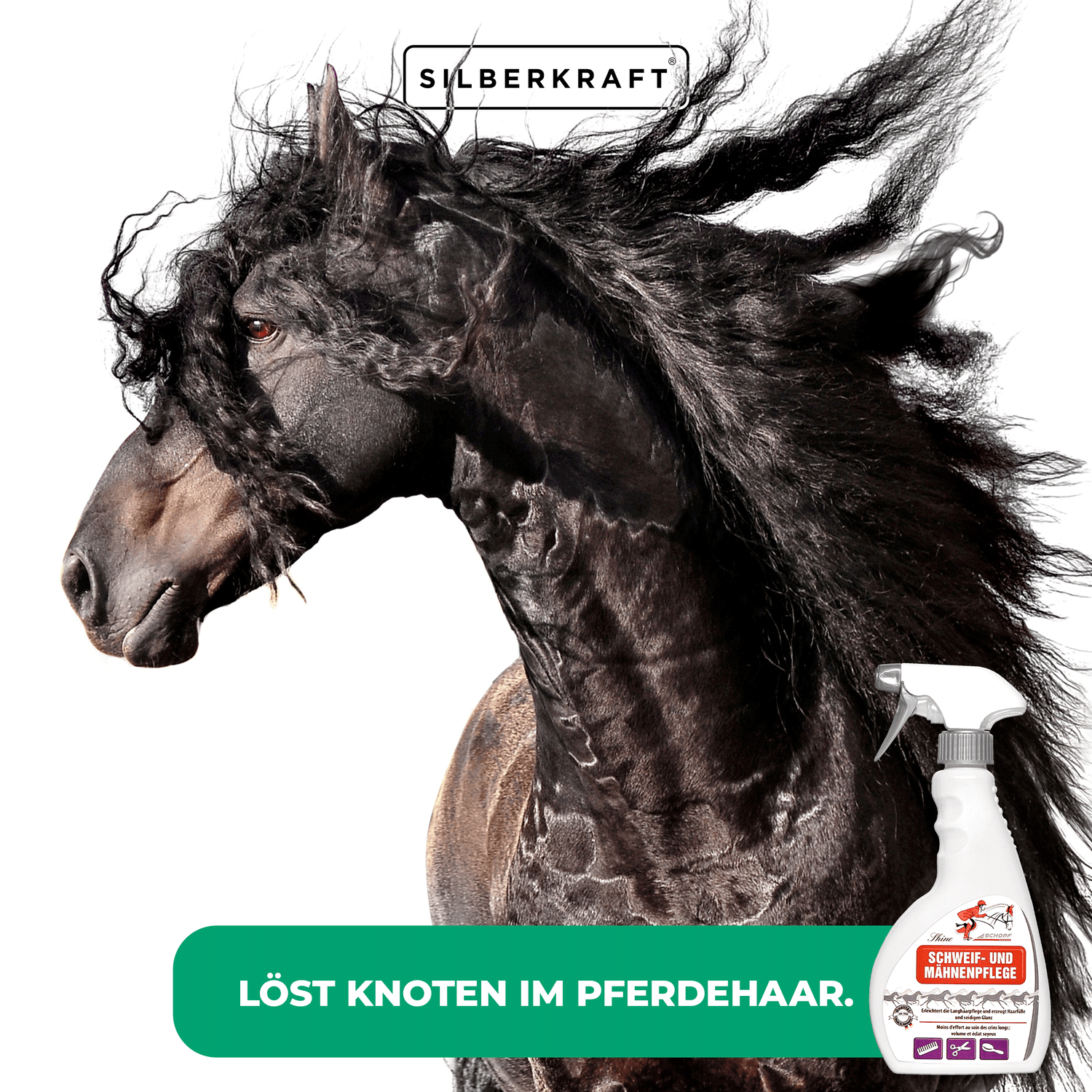Schweif- und Mähnenpflegespray für strahlend schönes Pferdehaar - Silberkraft