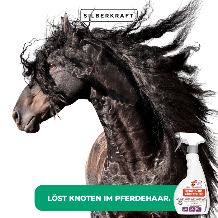 Schweif- und Mähnenpflegespray für strahlend schönes Pferdehaar - Silberkraft