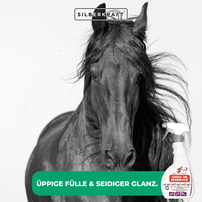 Schweif- und Mähnenpflegespray für strahlend schönes Pferdehaar - Silberkraft