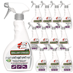 Staart- en manenspray Briljant voor glanzend paardenhaar - Silberkraft