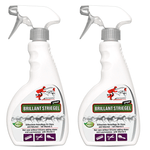Staart- en manenspray Briljant voor glanzend paardenhaar - Silberkraft
