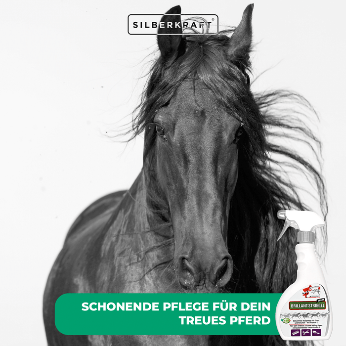 Schweif- und Mähnenspray Brillant für glänzendes Pferdehaar - Silberkraft
