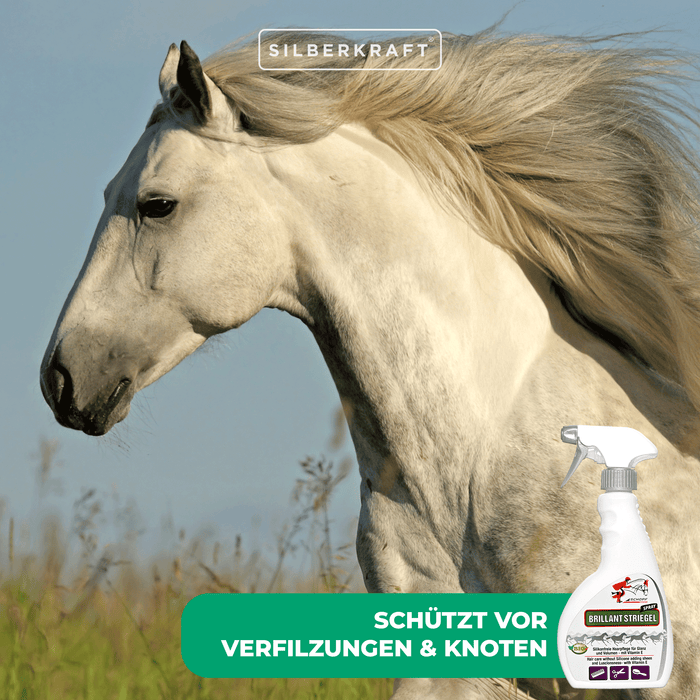 Schweif- und Mähnenspray Brillant für glänzendes Pferdehaar - Silberkraft