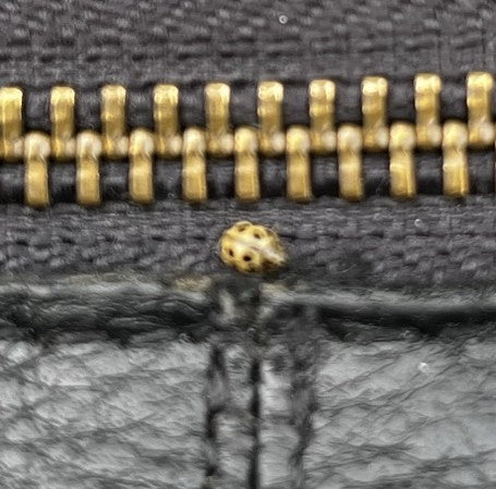 Een zestienvlekkig lieveheersbeestje zit op een donkere rits. Het insect is duidelijk zichtbaar in close-up.