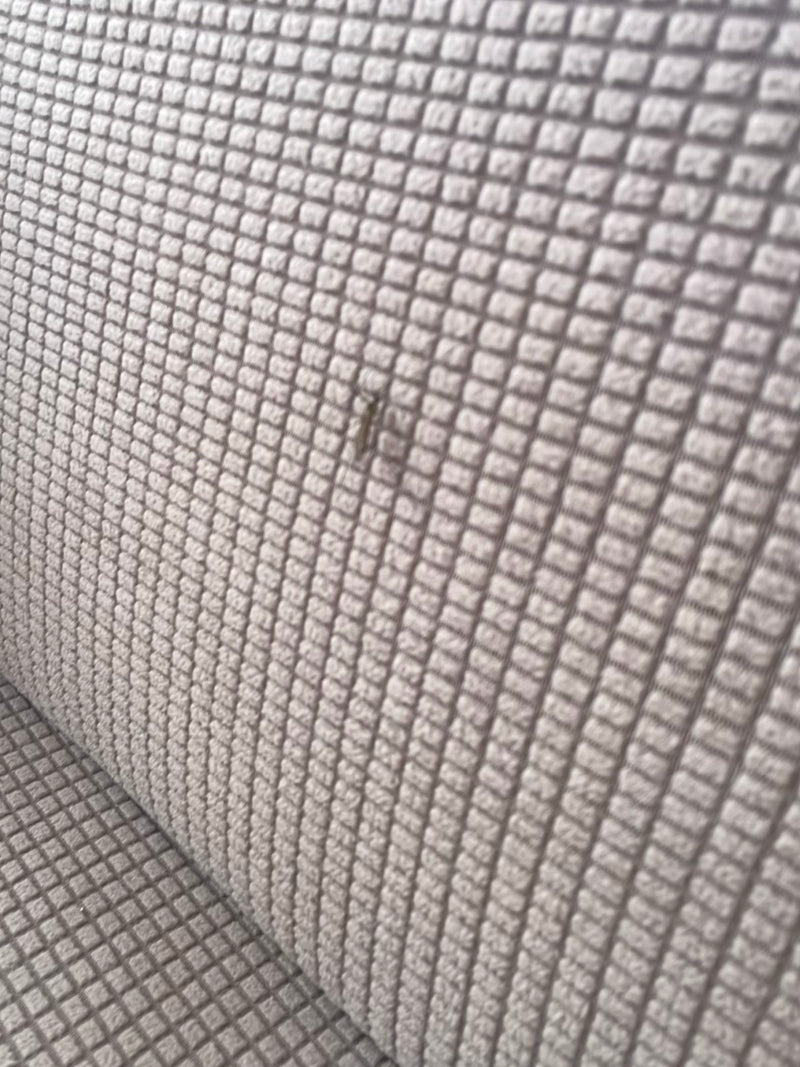 Een klein zilvervisje zit op een gestructureerd textieloppervlak. Het insect is door de afstand slechts vaag zichtbaar.