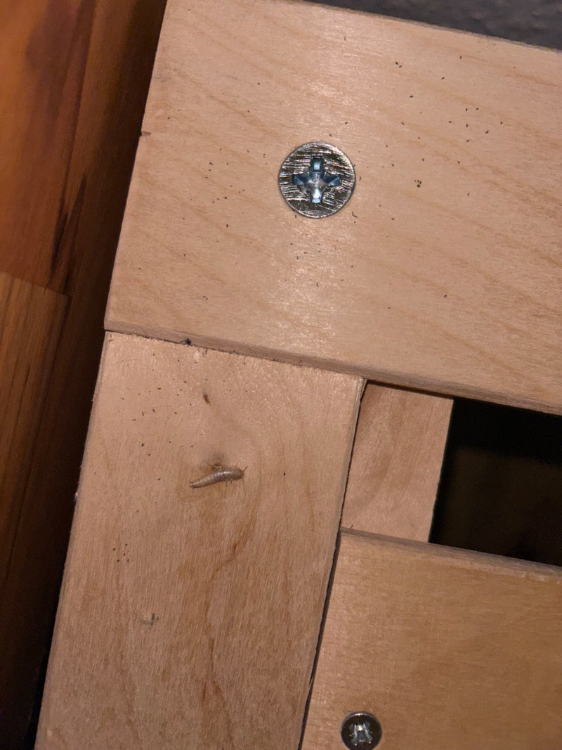 Een enkel zilvervisje zit op een lichte houten oppervlak. Het kleine, langwerpige insect bevindt zich in de buurt van een schroef.