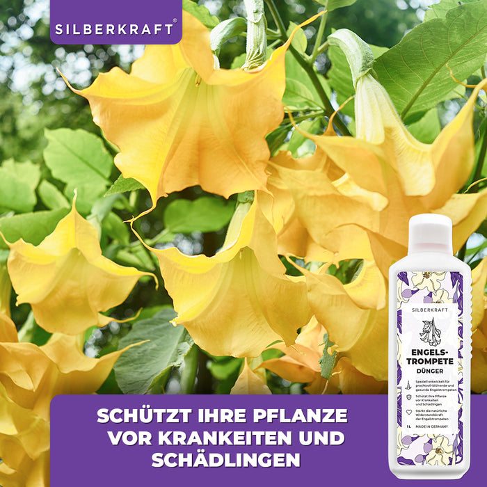 Engelstrompete Dünger - Mineralischer NPK Flüssigdünger mit Stickstoff - Dünger für Engelstrompete - Silberkraft