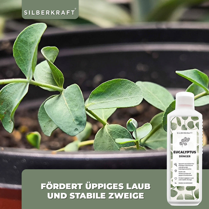 Eukalyptus Dünger - Mineralischer NPK Flüssigdünger mit Stickstoff - Dünger für Eukalyptus - Eukalyptusbaum düngen - Silberkraft