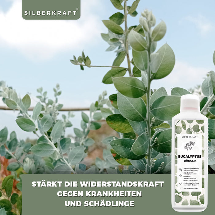 Eukalyptus Dünger - Mineralischer NPK Flüssigdünger mit Stickstoff - Dünger für Eukalyptus - Eukalyptusbaum düngen - Silberkraft