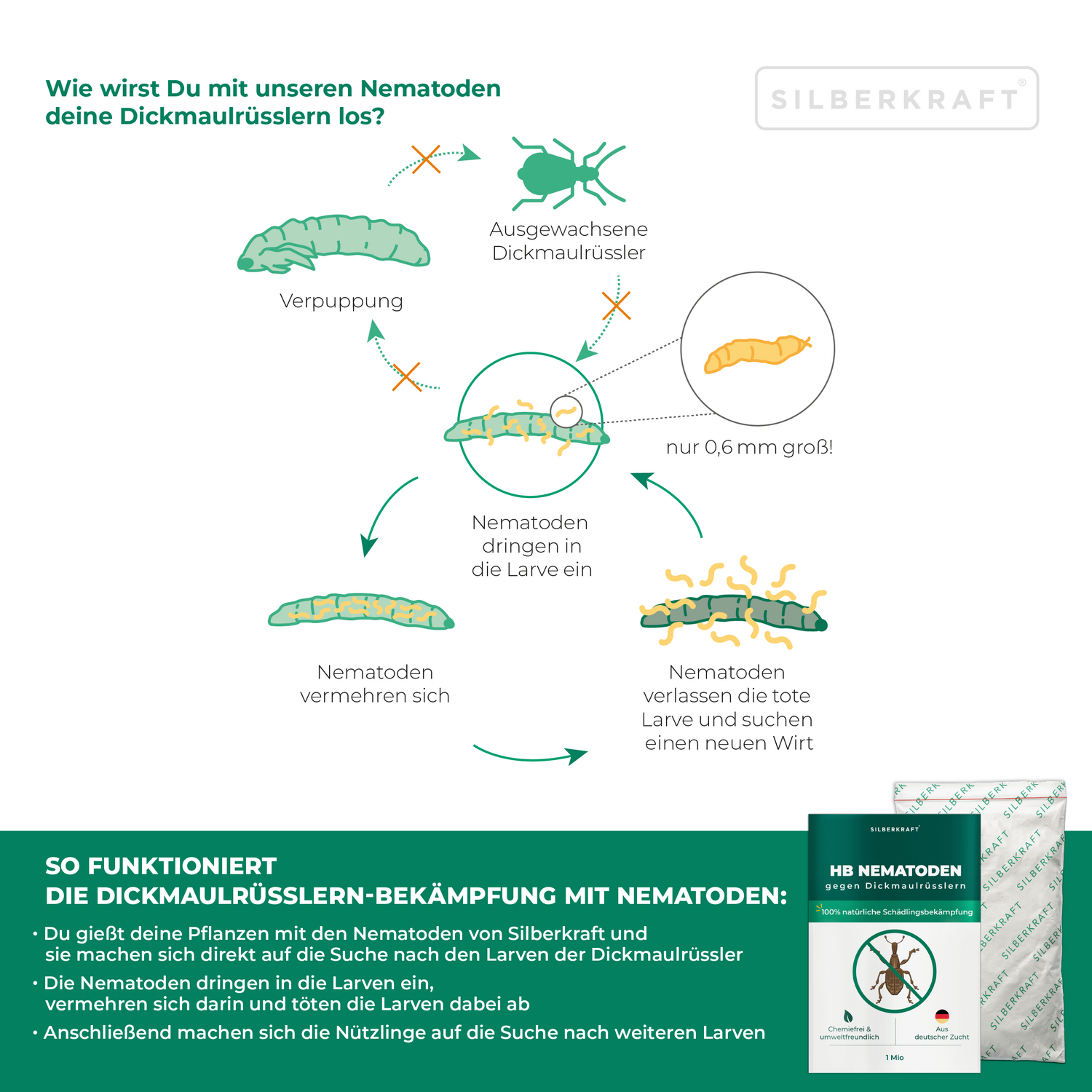 HB Nematoden gegen Dickmaulrüsslern &  Engerlingen - Silberkraft