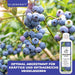 Heidelbeer Dünger - Mineralischer NPK Flüssigdünger mit Stickstoff - Dünger für Heidelbeeren - Blaubeer Dünger - Beerendünger - Silberkraft
