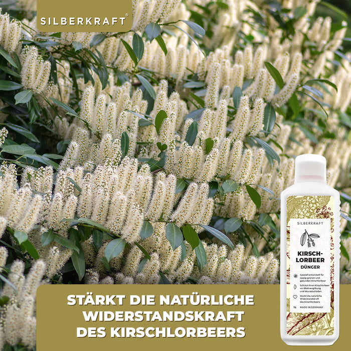 Kirschlorbeer Dünger - Mineralischer NPK Flüssigdünger mit Stickstoff - Dünger für Kirschlorbeer - Lorbeer Dünger - Silberkraft