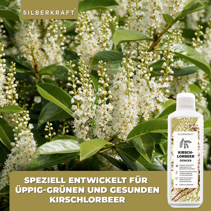 Kirschlorbeer Dünger - Mineralischer NPK Flüssigdünger mit Stickstoff - Dünger für Kirschlorbeer - Lorbeer Dünger - Silberkraft