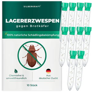 Lagererzwespen gegen Brotkäfer, Tabakkäfer, Kugelkäfer, Messingkäfer - Silberkraft