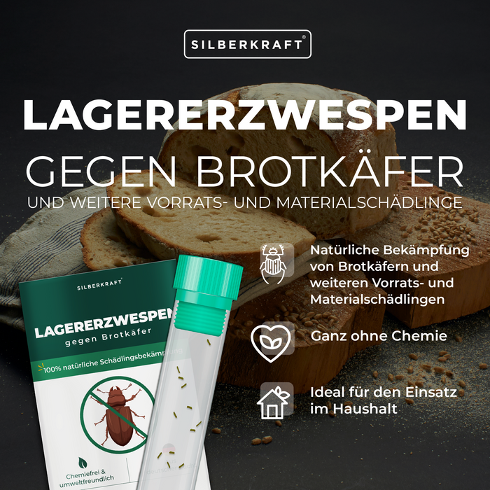 Lagererzwespen gegen Brotkäfer, Tabakkäfer, Kugelkäfer, Messingkäfer - Silberkraft