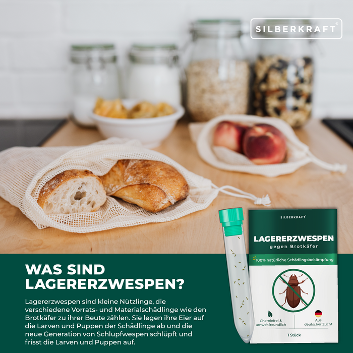 Lagererzwespen gegen Brotkäfer, Tabakkäfer, Kugelkäfer, Messingkäfer - Silberkraft