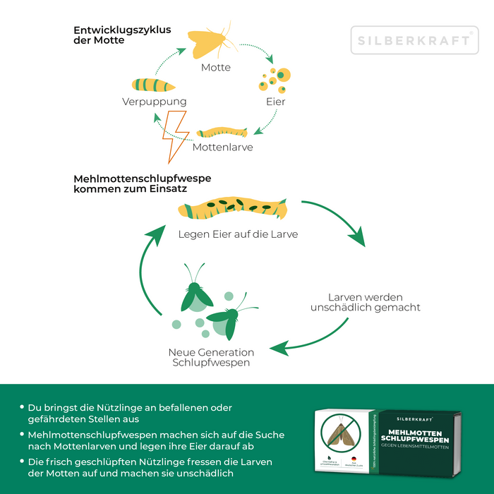 Mehlmottenschlupfwespen - Schlupfwespen gegen Mehlmotten - Silberkraft