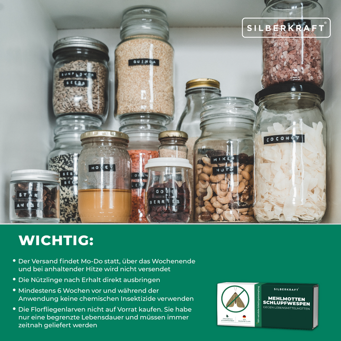 Mehlmottenschlupfwespen - Schlupfwespen gegen Mehlmotten - Silberkraft