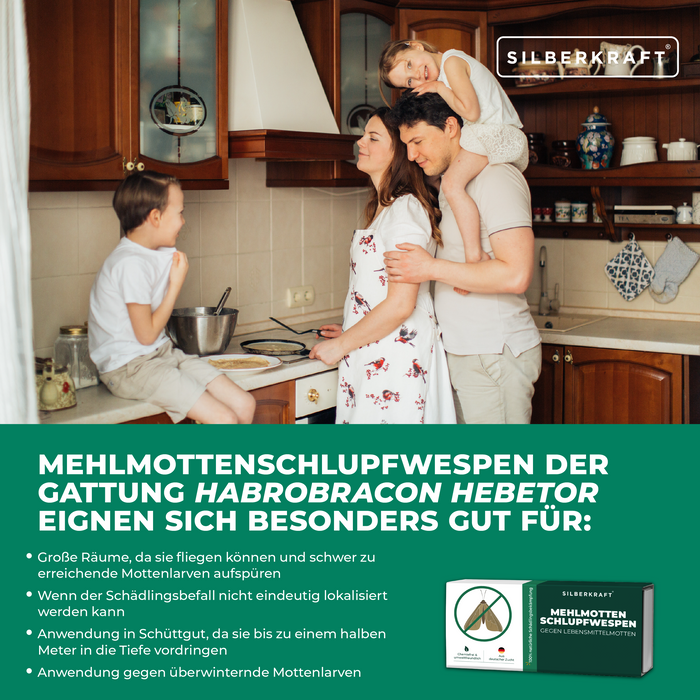 Mehlmottenschlupfwespen - Schlupfwespen gegen Mehlmotten - Silberkraft