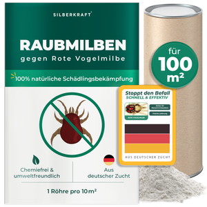 Raubmilben gegen Rote Vogelmilben - Silberkraft