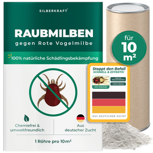Raubmilben gegen Rote Vogelmilben - Silberkraft