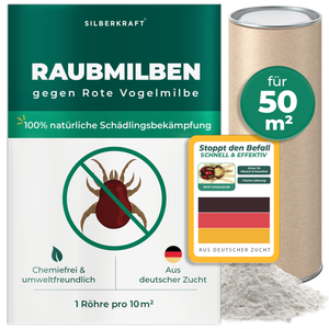 Raubmilben gegen Rote Vogelmilben - Silberkraft