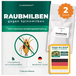 Silberkraft Raubmilben gegen Spinnmilben – 2 Tüten