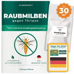 Raubmilben gegen Thripse für 30 m² Pflanzenfläche – Silberkraft