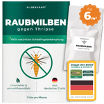 Raubmilben gegen Thripse für 6 m² Pflanzenfläche – Silberkraft