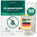 SF-nematoden tegen aardvlooien - Silberkraft