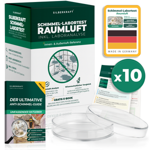 Schimmeltest Raumluft mit Laboranalyse & Außenluft-Vergleich - Silberkraft