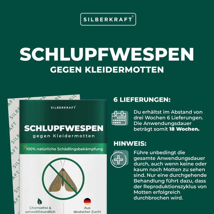 Schlupfwespen gegen Kleidermotten - Silberkraft