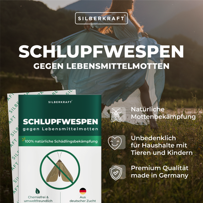 Schlupfwespen gegen Lebensmittelmotten - Silberkraft