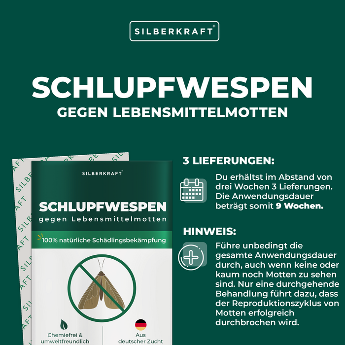 Schlupfwespen gegen Lebensmittelmotten - Silberkraft