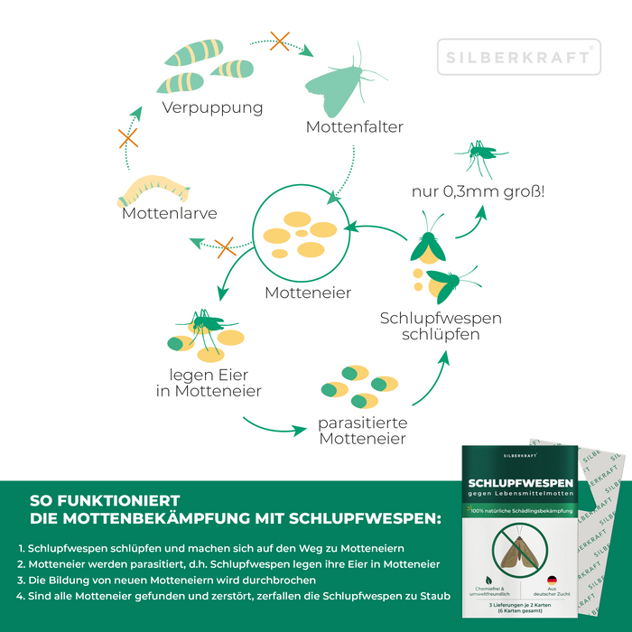 Schlupfwespen gegen Lebensmittelmotten - Silberkraft