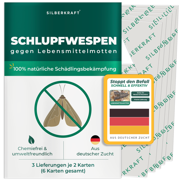 Schlupfwespen gegen Lebensmittelmotten - Silberkraft