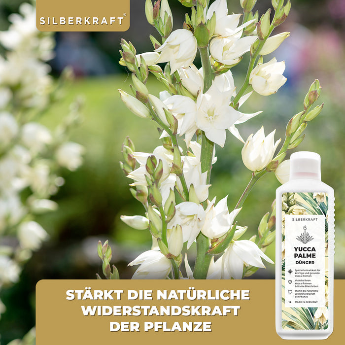Yucca Dünger - Mineralischer NPK Flüssigdünger mit Stickstoff - Dünger für Yucca Palmen - Palmlilie düngen -  Yucca Rostrata Dünger - Silberkraft