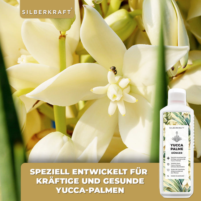 Yucca Dünger - Mineralischer NPK Flüssigdünger mit Stickstoff - Dünger für Yucca Palmen - Palmlilie düngen -  Yucca Rostrata Dünger - Silberkraft