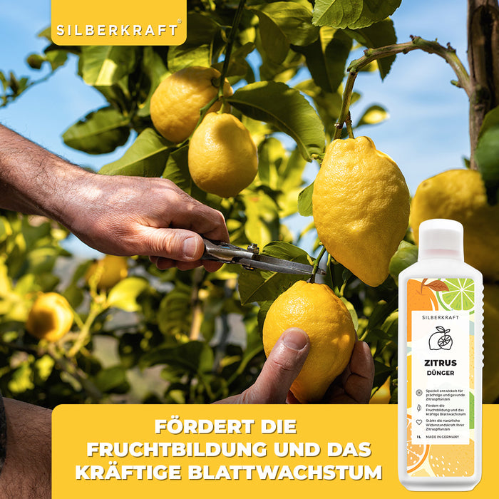 Zitrusdünger - Mineralischer NPK Flüssigdünger mit Stickstoff - Dünger für Zitruspflanzen - Zitronenbaum düngen - Silberkraft