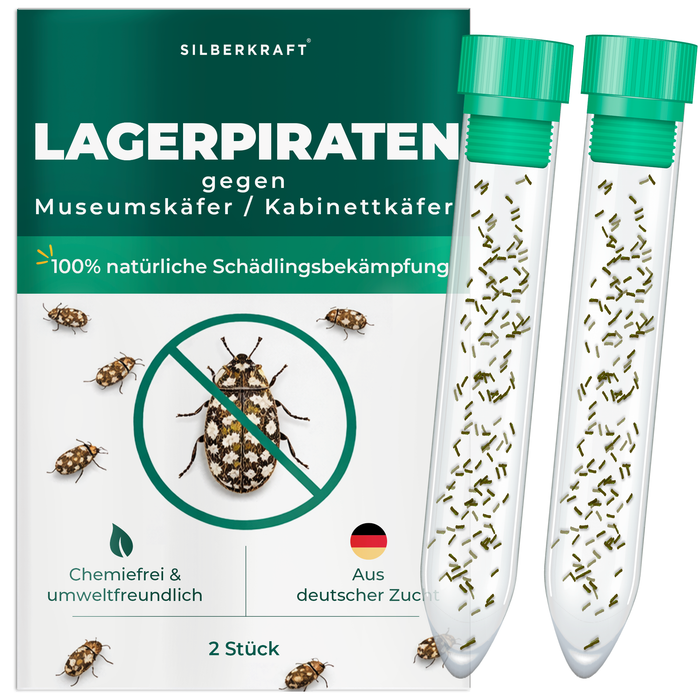 Silberkraft Lagerpiranten tegen museumkevers en kastkevers - natuurlijke nuttige insecten voor chemicaliënvrije bestrijding van museumkevers in het huishouden, uit Duitse kweek, 2 x30 Lagerpiranten per buis