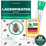 Silberkraft bewaarpiraten tegen museumkevers en kastkevers - natuurlijke nuttige insecten voor chemicaliënvrije bestrijding van museumkevers in het huishouden, uit Duitse kweek, 30 bewaarpiraten per buis