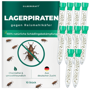 Silberkraft Lagerpiraten gegen Reismehlkäfer, natürliche Nützlinge zur chemiefreien Bekämpfung von Reismehlkäfern im Haushalt, aus deutscher Zucht, 10x 30 Lagerpiraten pro Röhrchen