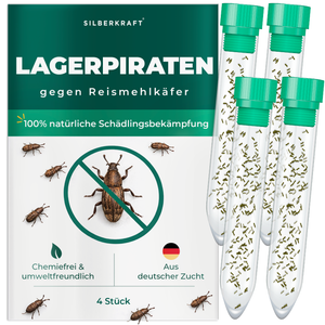 Silberkraft Lagerpiraten gegen Reismehlkäfer, natürliche Nützlinge zur chemiefreien Bekämpfung von Reismehlkäfern im Haushalt, aus deutscher Zucht, 4x 30 Lagerpiraten pro Röhrchen