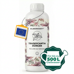 Tradescantia-Dünger - front