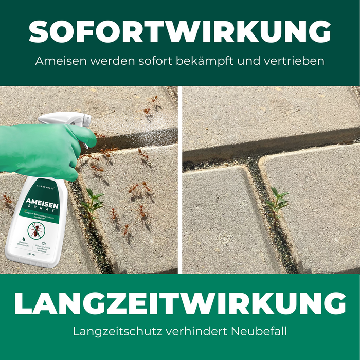 Silberkraft mierenspray met tekst waarin de directe en langdurige werking van het product tegen mieren wordt geprezen.