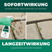Silberkraft mierenspray met tekst waarin de directe en langdurige werking van het product tegen mieren wordt geprezen.
