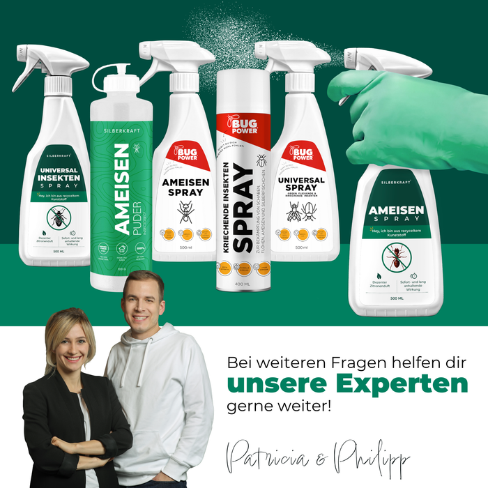 Silberkraft mierenspray samen met andere mierenbestrijdingsproducten, omgeven door tekst die de verschillende mogelijke toepassingen laat zien.
