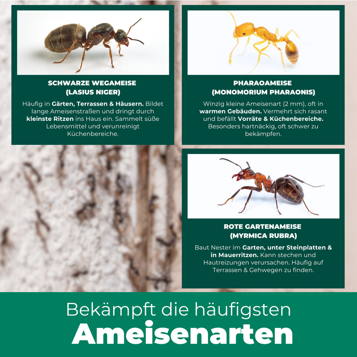 Silberkraft mierenspray met tekst waarin de verschillende soorten mieren worden benadrukt waartegen het product effectief is.