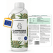 Cannabisbloeimeststof - Silberkraft