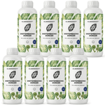 Dieffenbachia-Dünger - Silberkraft